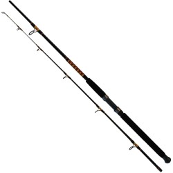 Вудилище тролінгове Salmo Power Stick Trolling Spin 2.40 м (50–100 г)