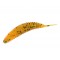 Слаги їстівні штучні LJ Pro Series ULTRAWORM 1,0in (02.54)
