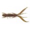 Німфа HOGY SHRIMP LJ Pro Series 3.5 '