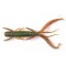 Німфа силікон. HOGY SHRIMP LJ Pro Series 3.5 '